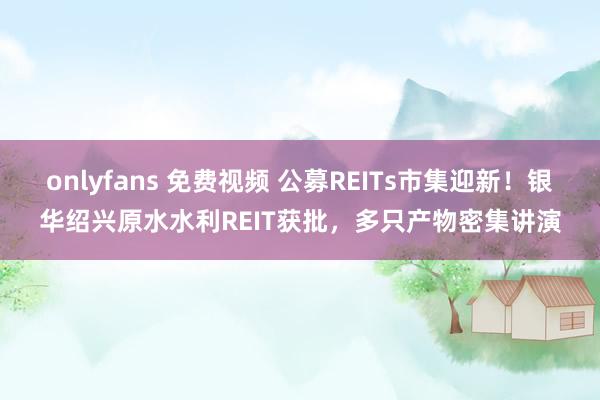 onlyfans 免费视频 公募REITs市集迎新！银华绍兴原水水利REIT获批，多只产物密集讲演