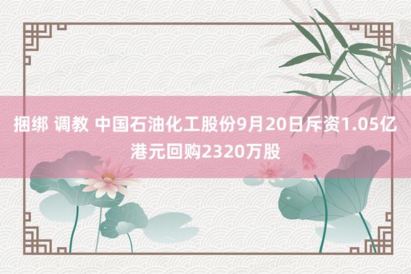 捆绑 调教 中国石油化工股份9月20日斥资1.05亿港元回购2320万股