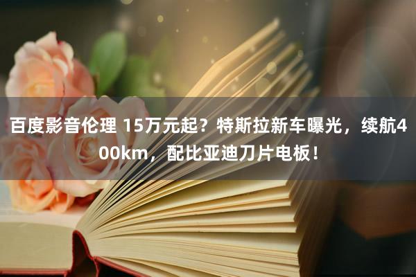 百度影音伦理 15万元起？特斯拉新车曝光，续航400km，配比亚迪刀片电板！