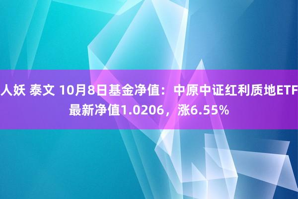 人妖 泰文 10月8日基金净值：中原中证红利质地ETF最新净值1.0206，涨6.55%