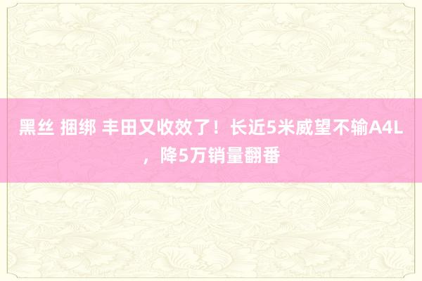 黑丝 捆绑 丰田又收效了！长近5米威望不输A4L，降5万销量翻番