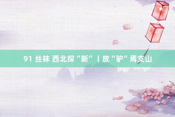 91 丝袜 西北探“新”丨放“驴”焉支山