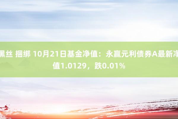 黑丝 捆绑 10月21日基金净值：永赢元利债券A最新净值1.0129，跌0.01%