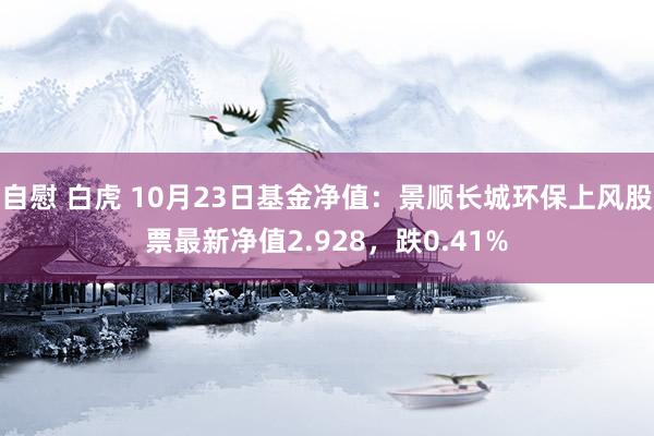自慰 白虎 10月23日基金净值：景顺长城环保上风股票最新净值2.928，跌0.41%