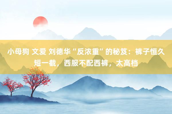小母狗 文爱 刘德华“反浓重”的秘笈：裤子恒久短一截，西服不配西裤，太高档