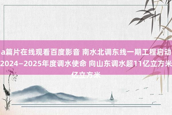 a篇片在线观看百度影音 南水北调东线一期工程启动2024—2025年度调水使命 向山东调水超11亿立方米