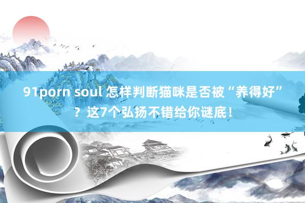 91porn soul 怎样判断猫咪是否被“养得好”？这7个弘扬不错给你谜底！