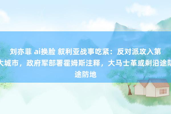 刘亦菲 ai换脸 叙利亚战事吃紧：反对派攻入第四大城市，政府军部署霍姆斯注释，大马士革或剩沿途防地
