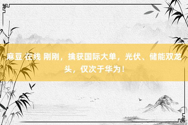 麻豆 在线 刚刚，擒获国际大单，光伏、储能双龙头，仅次于华为！