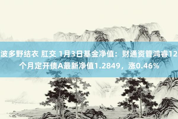 波多野结衣 肛交 1月3日基金净值：财通资管鸿睿12个月定开债A最新净值1.2849，涨0.46%