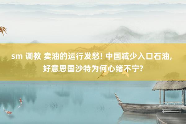 sm 调教 卖油的运行发愁! 中国减少入口石油， 好意思国沙特为何心绪不宁?