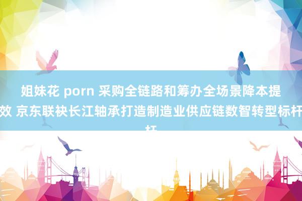 姐妹花 porn 采购全链路和筹办全场景降本提效 京东联袂长江轴承打造制造业供应链数智转型标杆