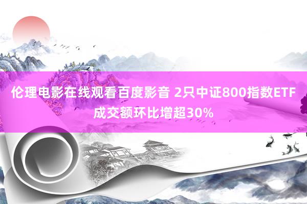 伦理电影在线观看百度影音 2只中证800指数ETF成交额环比增超30%