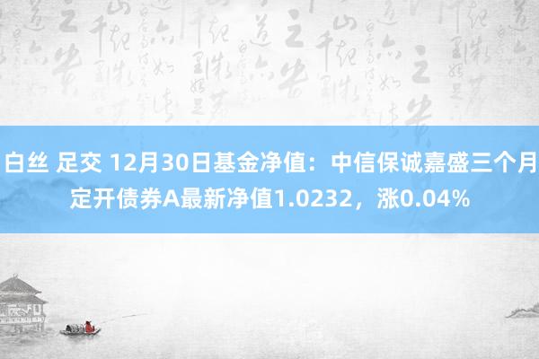 白丝 足交 12月30日基金净值：中信保诚嘉盛三个月定开债券A最新净值1.0232，涨0.04%