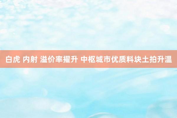 白虎 内射 溢价率擢升 中枢城市优质料块土拍升温