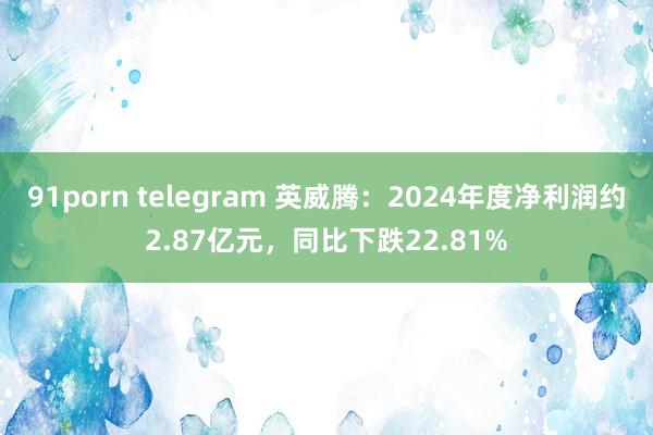 91porn telegram 英威腾：2024年度净利润约2.87亿元，同比下跌22.81%