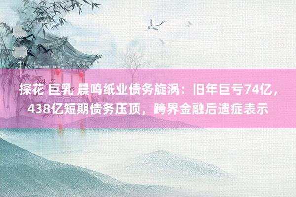 探花 巨乳 晨鸣纸业债务旋涡：旧年巨亏74亿，438亿短期债务压顶，跨界金融后遗症表示
